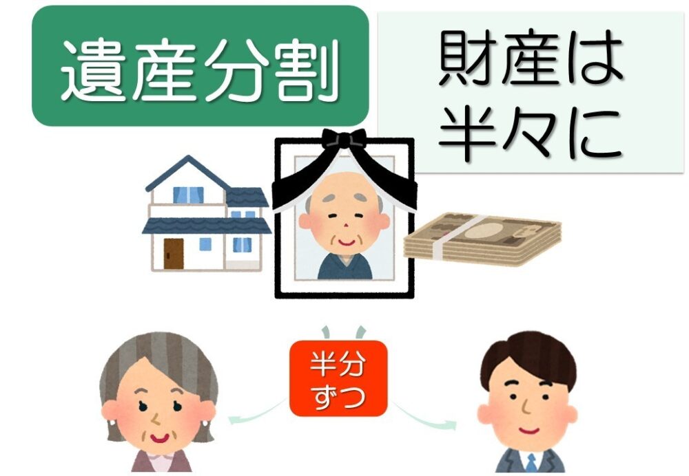 財産を半分ずつ受け継ぐ